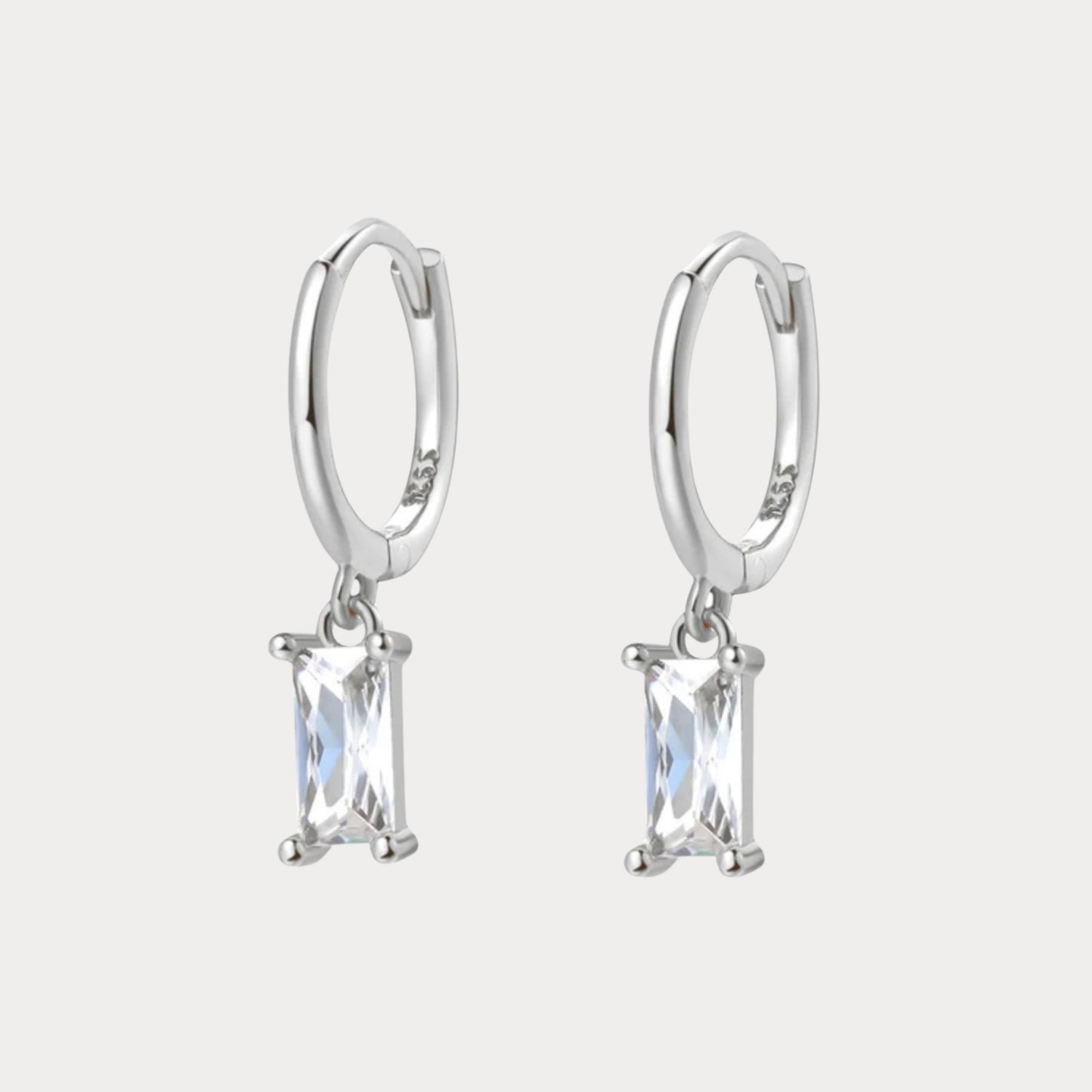 Shiney Earrings - silver
