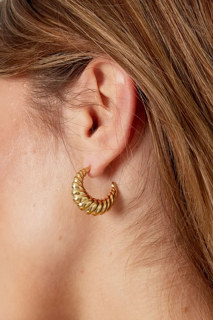Croissant Earrings - silver