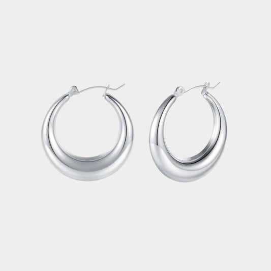 Classy Earrings - silver